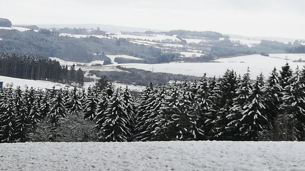 Eifel-Ferienhaus Marga พรุม ภายนอก รูปภาพ